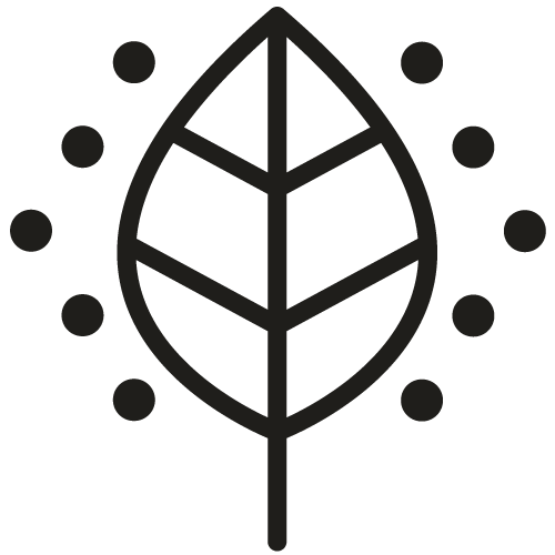 En tecknad ikon av ett blad från ett träd.
